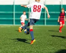 揭秘欧洲主,流媒体信任,揭秘,九游娱乐平台,九游娱乐官方网站,九游娱乐登录入口,九游娱乐app下载