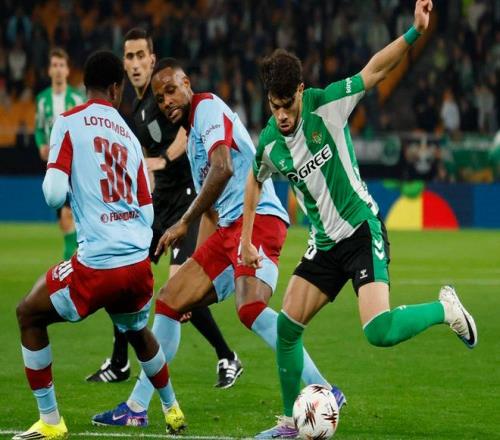 年十大热门,卡牌游戏推,九游娱乐,九游娱乐平台,九游娱乐官方网站,九游娱乐登录入口,九游娱乐app下载