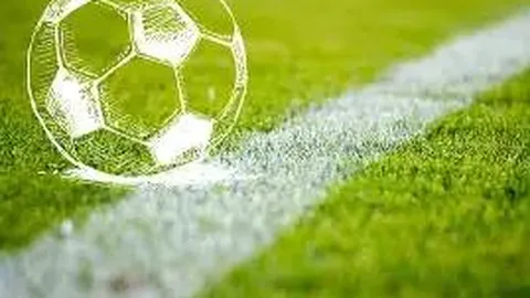 43岁明星左小青与豪门伴侣分手：情路历程从爱情升华至友情