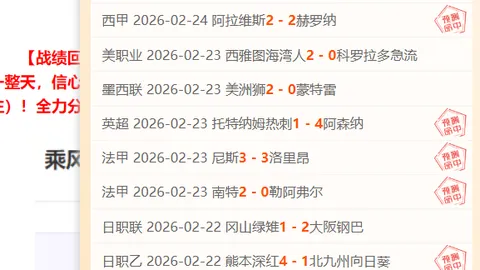 諾維茨基：心無旁骛投身籃球，竭盡所能奉献力量
