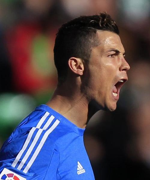 或许已经悄 或许已经悄